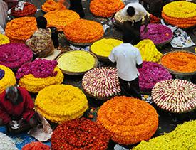 KR Flower Market